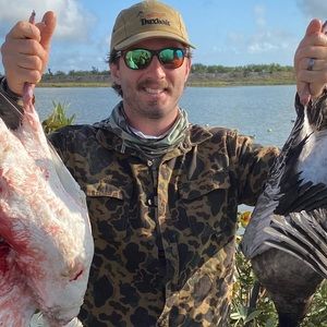 Meet your Posher, Bennett